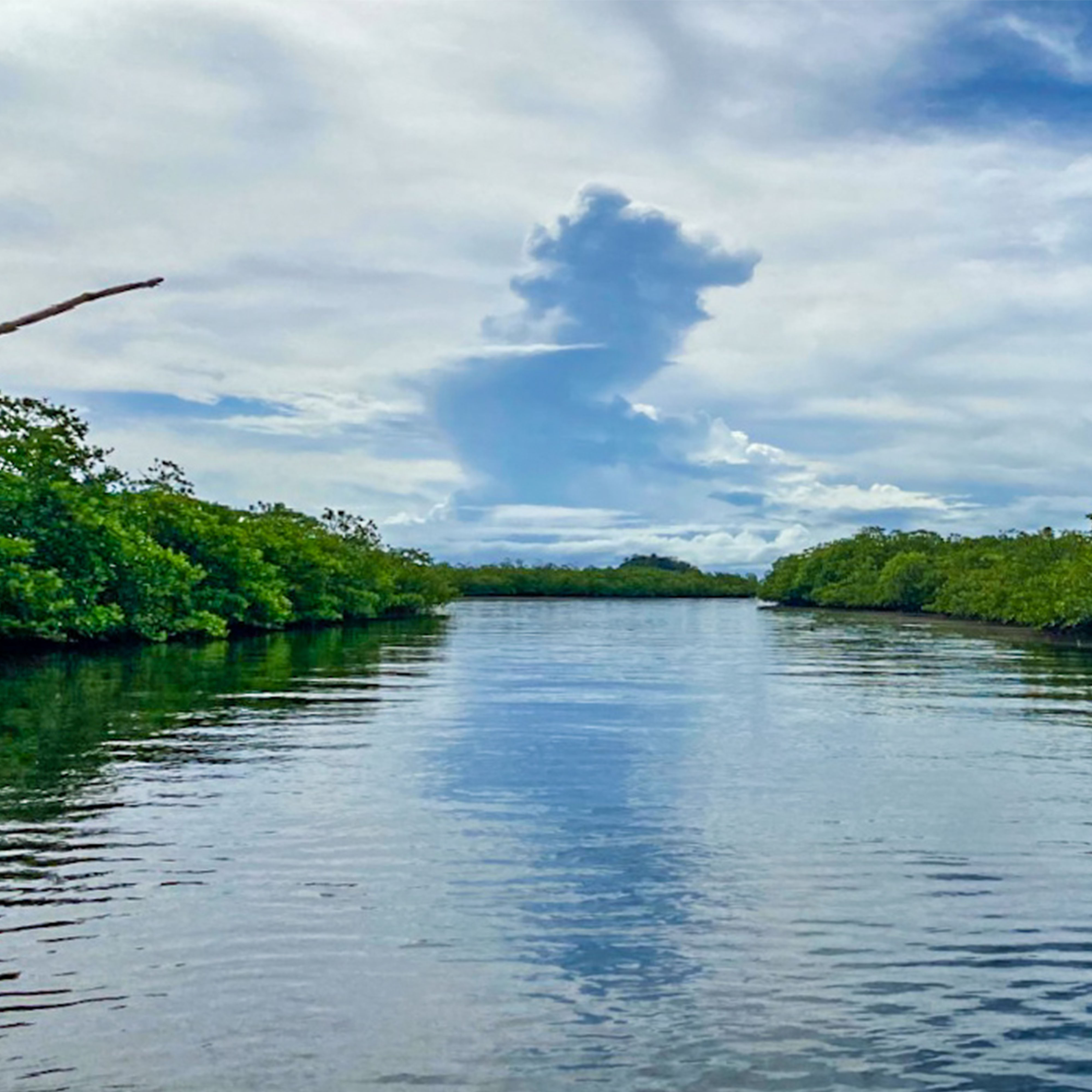 <b class="font-bara"><i class="bi bi-geo-fill h4"></i> MANGROVE CATWALK</b> <br/>Mangroves sight seeing located at Brgy. Britania to Brgy. Gata.